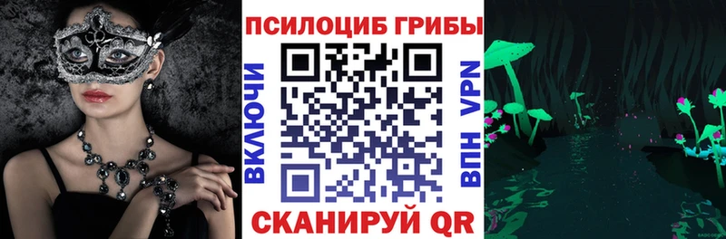 мега ТОР  Курчатов  Галлюциногенные грибы MAGIC MUSHROOMS 